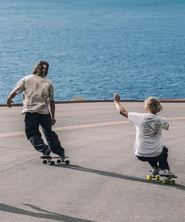 Arbor Skateboards and Longboards